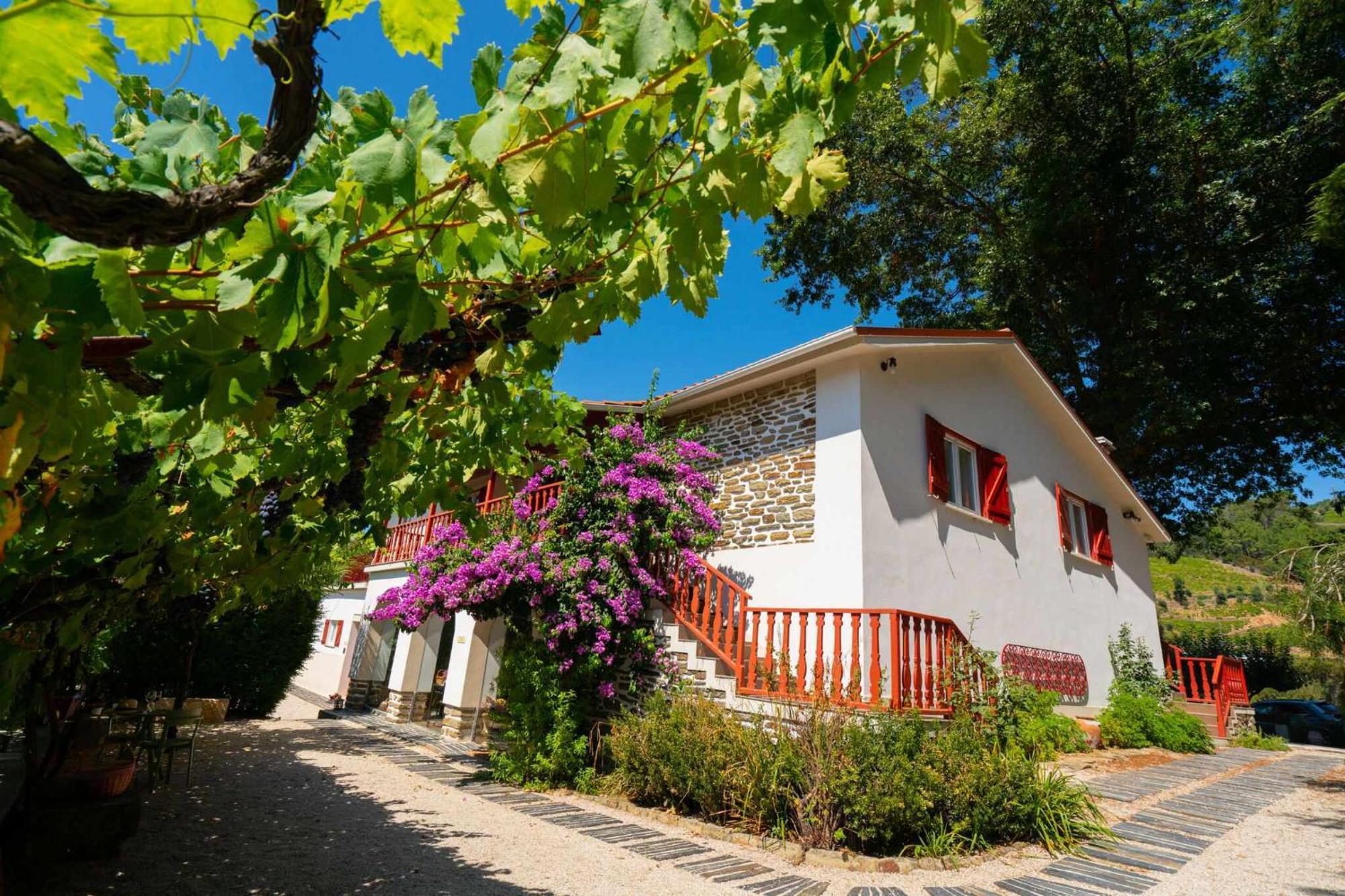 Quinta Da Pousada Casa De Campo ซานตามาร์ตาเดเปนาเกียว ภายนอก รูปภาพ